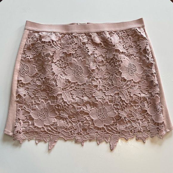 American Eagle Outfitters Dresses & Skirts - American Eagle Lace Skirt in Blush Pink